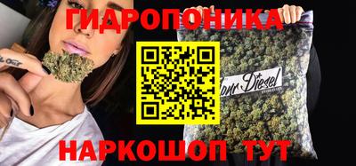 мяу мяу мука Тулун