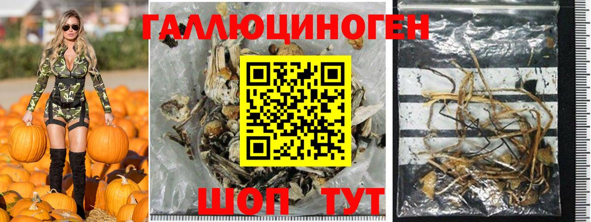 Псилоцибиновые грибы прущие грибы Отрадный