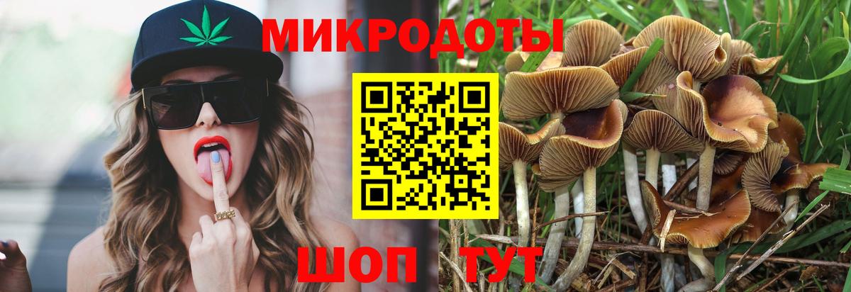 Псилоцибиновые грибы мицелий  Вход с VPN  Отрадный  Псилоцибиновые грибы Psilocybe 
